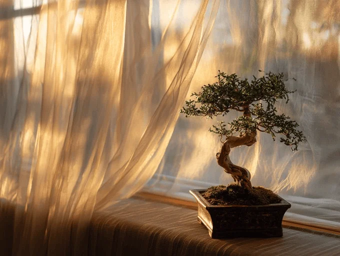 Rituale mattutino, foto di prodotto